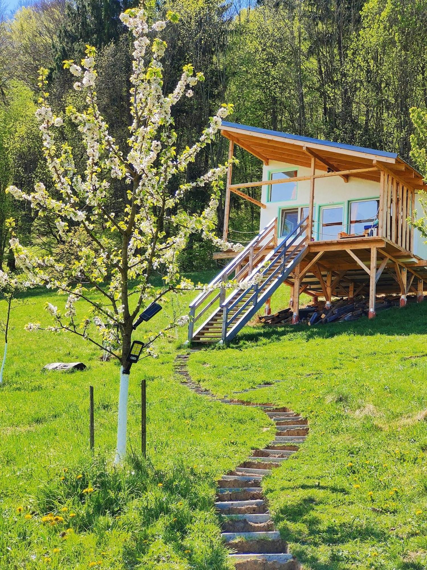 Rainbow Chalet Bran (Brasov)